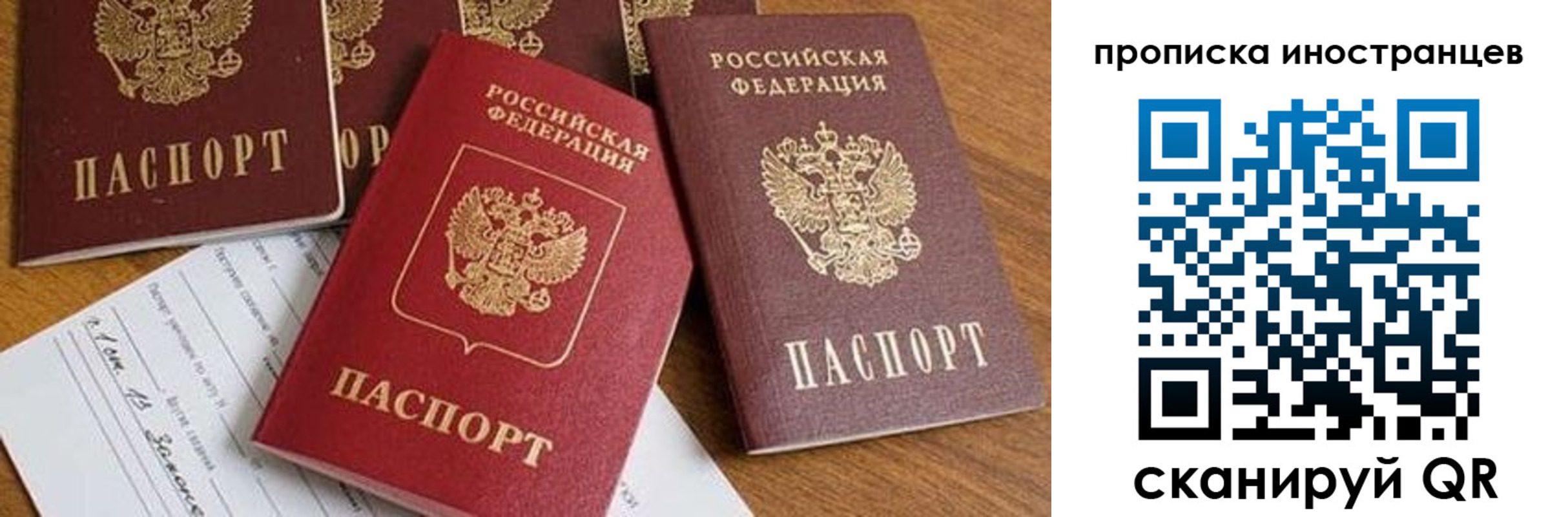 прописка в Могочи